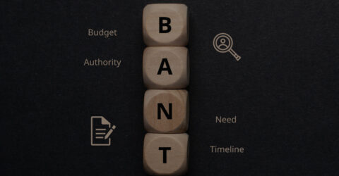 Everything About the BANT Framework