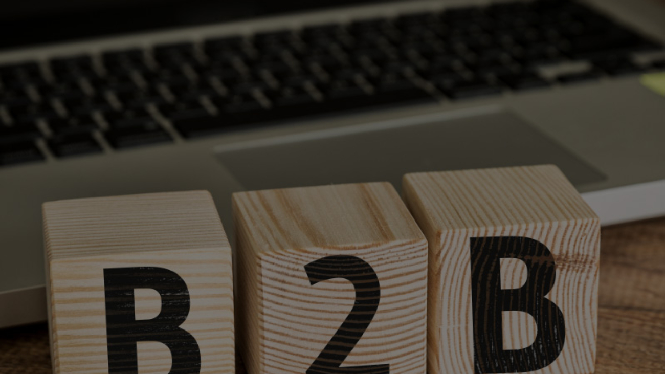 SERP for B2B Marketing