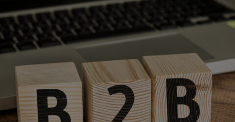 SERP for B2B Marketing