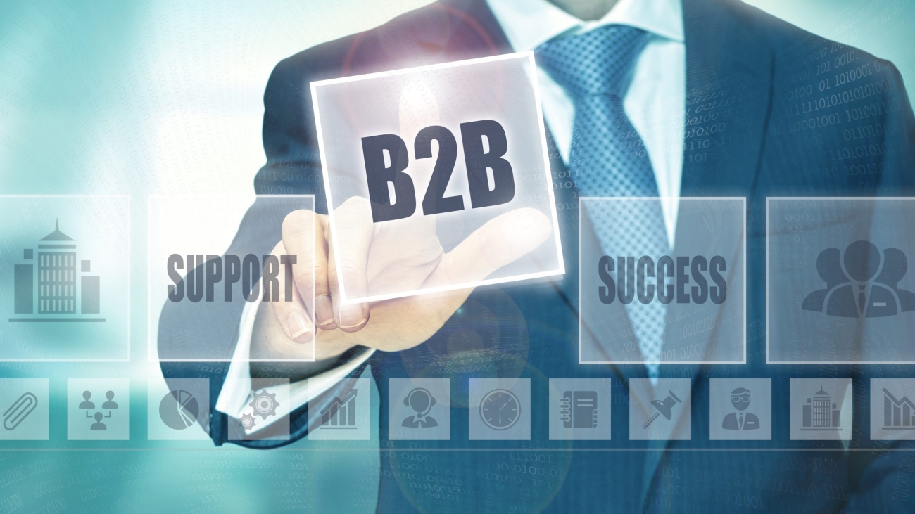 Businessman,Pressing,A,B2b,Concept,Button.